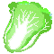 hakusai