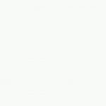 SHINING WHITE シャイニングホワイト