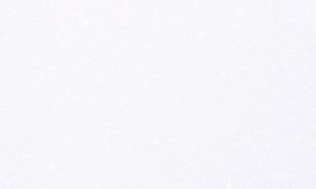 PI811 ペブルアイス STRAON