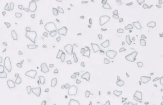 QD212 モザイクダルメシアン STARON