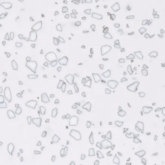 QD212 モザイクダルメシアン STARON