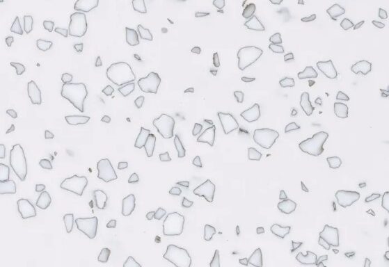 QD212 モザイクダルメシアン STARON