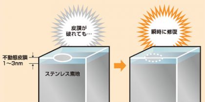 ステンレス：不働態被膜