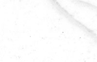 M802　オーロラカラカッタフィオレ