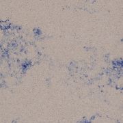 VenatiCollection-1952OKITEオキテ