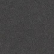 4120 Raven レェバン