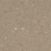 4230 Shitake シイタケ