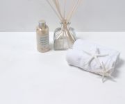 STARON VD111デルフィー