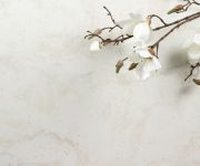 STARON VM143マグノリア