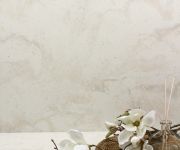 STARON VM143マグノリア