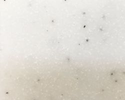 エコプリモ ECOPRIMO EPDW パウダーホワイト