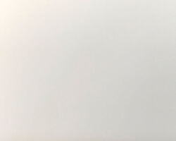 エコプリモ ECOPRIMO EPPW ピュアホワイト