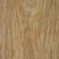 GARZAS GAR60 tochi栃